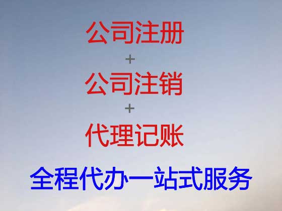 淮南公司个体工商户注册-财务代理记账